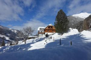 una casa en la cima de una montaña cubierta de nieve en Biobauernhof Spieszschweiger en Sankt Nikolai im Sölktal