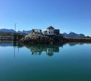 Afbeelding uit fotogalerij van Koselig hus nært havet i Lofoten, Kabelvåg in Kabelvåg