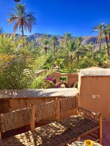 Gallery image of Ecolodge Bab El Oued Maroc Oasis in Agdz