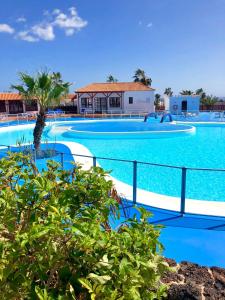 una piscina de agua azul y una palmera en La Casita Sun Beach, en Caleta de Fuste