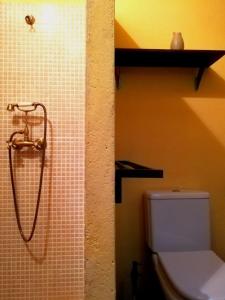 eine Dusche im Bad mit WC in der Unterkunft Casa Marina in Valderrobres