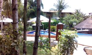 ein Resort mit einem Pool und Palmen in der Unterkunft RESORT SOLAR PIPA CASA 36 in Pipa