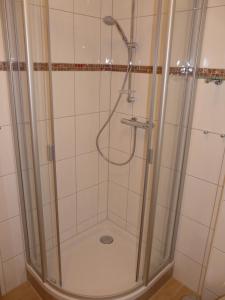 a shower with a glass door in a bathroom at Apartment Am Mühlendeich in Vollerwiek