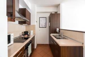 Kuchyňa alebo kuchynka v ubytovaní Budapest Central Port Apartment