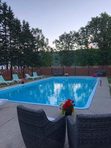 una piscina con 2 sillas de mimbre en Domaine Belle Plage, en Baie-Saint-Paul