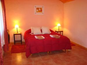 a red bed in a room with two lamps at CABANAS ´PORTAL NORTE in El Bolsón