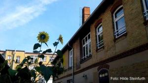 a sunflower is on the side of a building at klassMo Kulturcafe&Gästehaus mit Kulturwerkstatt in Luckenwalde