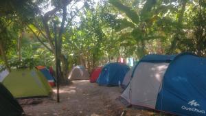 a group of tents in a forest with trees at Camping Airuma in Ilha de Boipeba