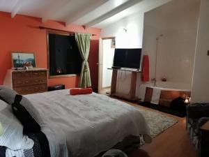 Μια τηλεόραση ή/και κέντρο ψυχαγωγίας στο Hospedaje el juncal