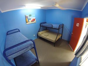 a room with two bunk beds in a blue room at Cable Beach Backpackers in Broome