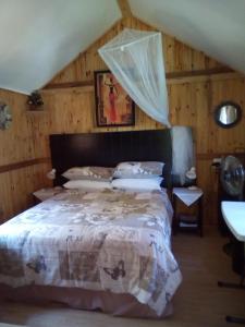 een slaapkamer met een groot bed in een kamer bij Pumba's Lookout in Barberton