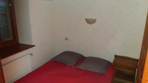 een kleine slaapkamer met een rood bed erin bij Le moulin des automates in Fréland