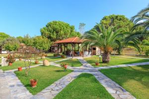 un jardín con palmeras y una casa en Maria - Pavlos Studios and Apartments en Vourvourou
