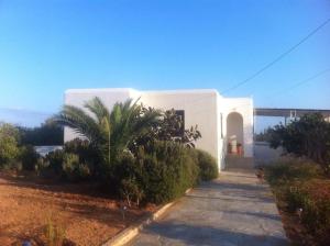a white house with a palm tree in front of it at Villa Kampos Paros in Pounda