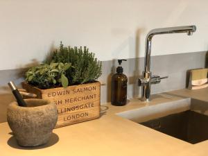 Bilde i galleriet til Vigna Rocchetta i Cassinasco