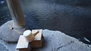 Uitzicht op een rivier vlak bij de ryokan