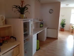 a kitchen with a white cabinet with a plant on it at Pension Lehmann in Radebeul