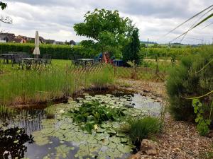 Ein Garten an der Unterkunft Ferienzimmer Weingut Mack