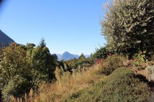 Naturlandschaft in der Nähe des Bed & Breakfasts