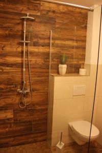 a bathroom with a toilet and a shower with wooden walls at Bed & Breakfast in Haag am Hausruck