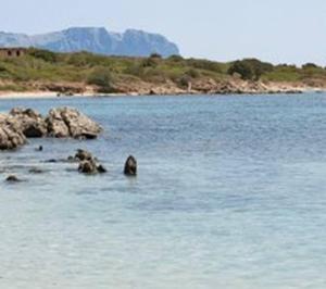 Gallery image of Residence Cugnana Verde Costa Smeralda in Cugnana