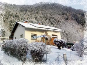 Ferienhaus Weiss v zimě