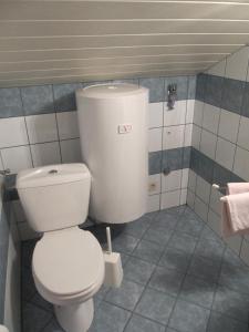 a bathroom with a white toilet in a room at Ferienwohnungen Haus Bliem in Lieserhofen