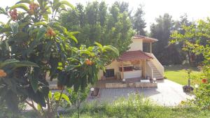 Zahrada ubytování Villa Chris