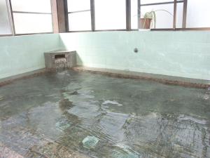 une chambre vide avec une piscine d'eau dans l'établissement Maruyaso, à Fujikawaguchiko