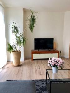 een woonkamer met 2 potplanten en een flatscreen-tv bij zentrumsnahe Ferienwohnung im Grünen in Röbel