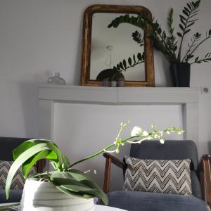 a mirror on a shelf above a table with a plant at L'adresse à Besançon in Besançon