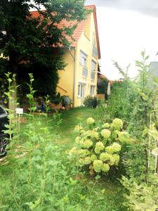 um jardim em frente a uma casa amarela em Murthum Gästeappartments em Leinfelden-Echterdingen