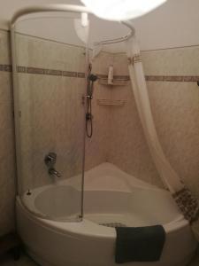 een douche in een badkamer met een bad bij Attico a Barberino di Mugello in Barberino di Mugello