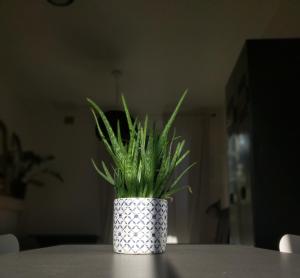 贝桑松L'adresse à Besançon的相册照片