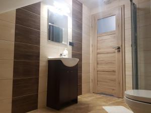 a bathroom with a sink and a toilet at Mendokowe Ranczo in Górno-Parcele