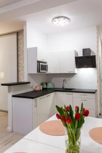 Kuchnia lub aneks kuchenny w obiekcie Apartament Rynek Sienny 1
