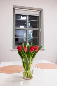 Zdjęcie z galerii obiektu Apartament Rynek Sienny 1 w Szczecinie