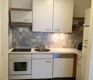 kuchnia z białymi szafkami i zlewem w obiekcie Appartement Top 7 w Linzu
