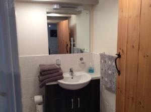 a bathroom with a sink and a mirror at Wheelwrights in Abbotsbury