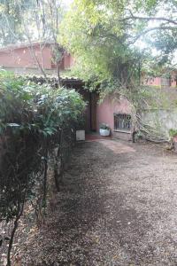 una casa con un patio con una planta delante en La Casa di Ornella, en Roma