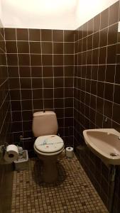 La salle de bains est pourvue de toilettes et d'un lavabo. dans l'établissement Isola Bella, à Blankenberge