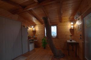 a room with a large tree trunk in a house at Casa sull'albero Bocchineri in Rogliano +40 photos