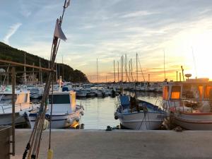 Afbeelding uit fotogalerij van Lodge entre ciel et mer in Saint-Cyr-sur-Mer