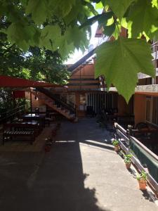 クラネヴォにあるFamily Hotel Julianのベンチとテーブルと緑の葉が植えられた建物