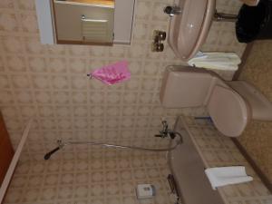 
Ein Badezimmer in der Unterkunft Hotel Bellevue
