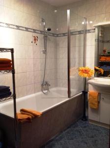 Galeriebild der Unterkunft Appartements Kogard - Constantin in Wagrain