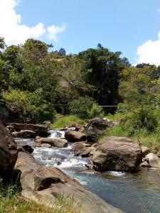 a stream of water with rocks and trees at Hostel Café in Alto Caparao