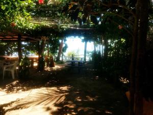a park with a picnic table in the shade at Camping Airuma in Ilha de Boipeba