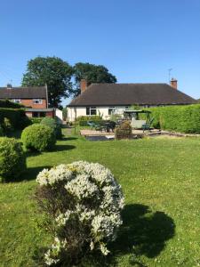 a house with a yard with white flowers at 11 Callow Crescent in Minsterley
