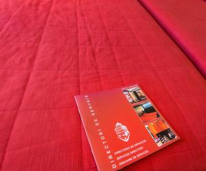 a passport sitting on top of a red blanket at Hotel Avenida in La Seu d'Urgell